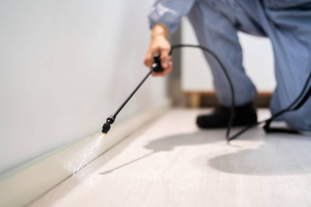 Licensed Rodent Control service in Rochester Institute of Technology, NY - Nex Pest Control