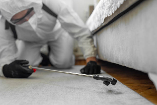 Professional Rodent Control technician working in Rochester Institute of Technology, NY