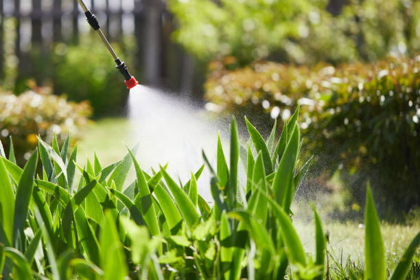24/7 Emergency Rodent Control experts in Rochester Institute of Technology, NY