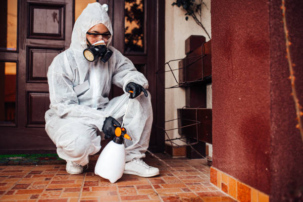 Reliable Rodent Control contractor in Rochester Institute of Technology, NY by Nex Pest Control